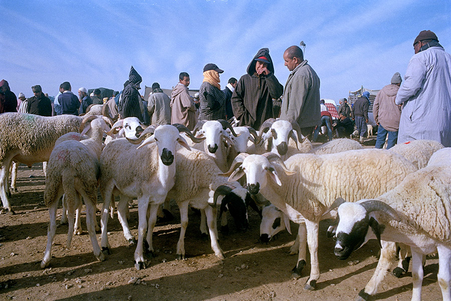 Taroudant, Morocco 2017: the weekly market.