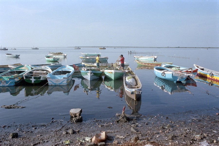Jaffna, Sri Lanka 2014: fishing along Beach Road.