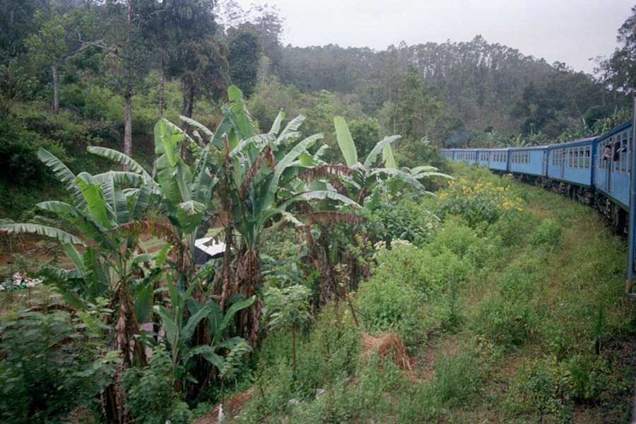 Sri Lanka, 2014: comfortable 10-hour train ride from Ella to Colombo, noted as one of the most scenic rides in the country.