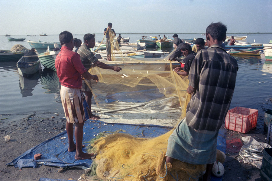 Jaffna, Sri Lanka 2014: fishing along Beach Road.