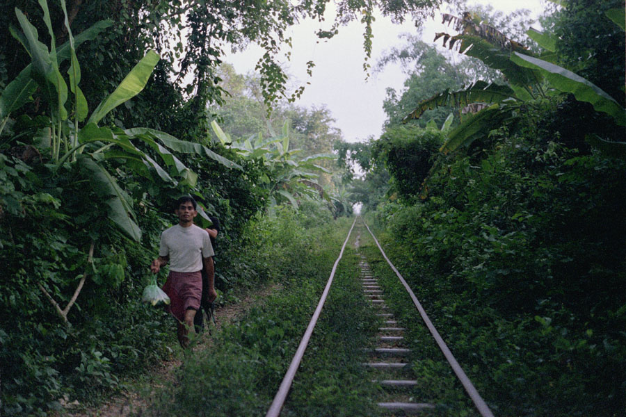 Battambang, Cambodia 2012: the remains of the bamboo train, a system running on a single track, with carts designed to be disassembled in order to let one or the other pass.
