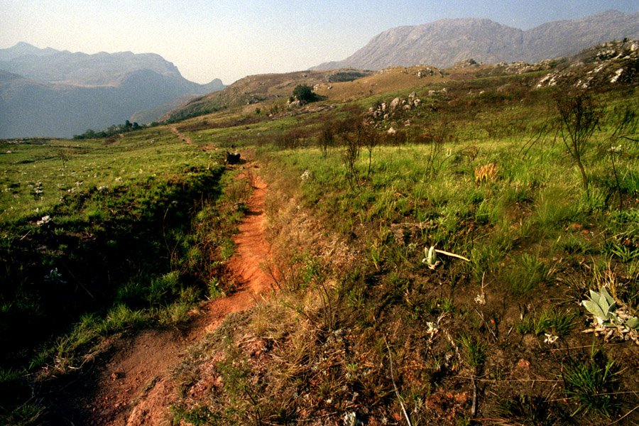 Mount Mulanje, Malawi 2008.