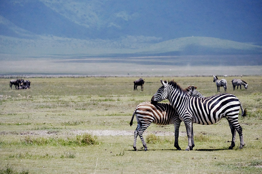 Ngorongoro Crater, Tanzania 2017.